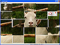 Thumbnail for version as of 14:16, 16 July 2009