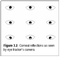 Thumbnail for version as of 15:07, 16 July 2009