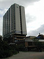 P9050009.jpg