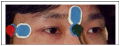 Thumbnail for version as of 15:07, 16 July 2009