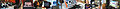 Banner-small-bottom.jpg