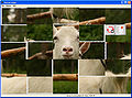 Thumbnail for version as of 14:16, 16 July 2009